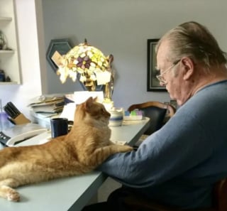 Illustration de l'article : 11 photos de chats et de chiens pour refaire le plein de bonne humeur