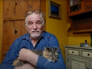 Illustration de l'article : Quand un passant bienveillant apporte un chat errant au refuge, la puce r&eacute;v&egrave;le une disparition vieille de 10 ans