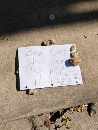 Illustration de l'article : &laquo; Ce sont eux les h&eacute;ros &raquo;, gr&acirc;ce &agrave; un mot laiss&eacute; par des enfants, un chaton pi&eacute;g&eacute; dans une bouche d'&eacute;gout re&ccedil;oit enfin de l'aide