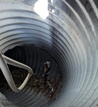 Illustration de l'article : &laquo; Ce sont eux les h&eacute;ros &raquo;, gr&acirc;ce &agrave; un mot laiss&eacute; par des enfants, un chaton pi&eacute;g&eacute; dans une bouche d'&eacute;gout re&ccedil;oit enfin de l'aide