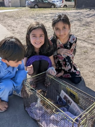 Illustration de l'article : &laquo; Ce sont eux les h&eacute;ros &raquo;, gr&acirc;ce &agrave; un mot laiss&eacute; par des enfants, un chaton pi&eacute;g&eacute; dans une bouche d'&eacute;gout re&ccedil;oit enfin de l'aide