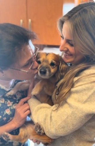 Illustration de l'article : &laquo; Je n'arrive pas &agrave; croire qu&rsquo;il s&rsquo;agit du m&ecirc;me chien &raquo;, l'adoption transforme un pensionnaire de refuge peureux en un compagnon plein de vie (vid&eacute;o)