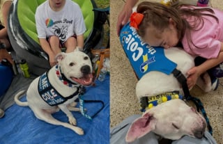 Illustration de l'article : Ce chien de th&eacute;rapie sourd a droit &agrave; une &eacute;mouvante f&ecirc;te d'anniversaire et &agrave; une chanson interpr&eacute;t&eacute;e avec la langue des signes par les &eacute;coliers