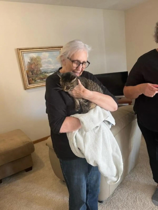 Illustration de l'article : Alors qu&rsquo;elle v&eacute;rifie sa nouvelle salle de bain, un miaulement &eacute;touff&eacute; r&eacute;v&egrave;le l&rsquo;endroit o&ugrave; sa chatte &eacute;tait prise au pi&egrave;ge depuis 3 semaines