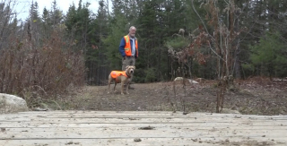 Illustration de l'article : Un homme au grand coeur fait don d'un terrain bois&eacute; de 380 000 m2 pour rendre les chiens heureux