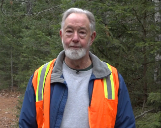 Illustration de l'article : Un homme au grand coeur fait don d'un terrain bois&eacute; de 380 000 m2 pour rendre les chiens heureux