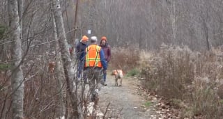Illustration de l'article : Un homme au grand coeur fait don d'un terrain bois&eacute; de 380 000 m2 pour rendre les chiens heureux