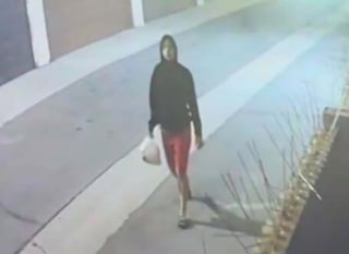 Illustration de l'article : Un chien re&ccedil;oit des soins intensifs apr&egrave;s avoir &eacute;t&eacute; jet&eacute; dans un sac en plastique par-dessus un portail, sa propri&eacute;taire est poursuivie