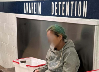 Illustration de l'article : Un chien re&ccedil;oit des soins intensifs apr&egrave;s avoir &eacute;t&eacute; jet&eacute; dans un sac en plastique par-dessus un portail, sa propri&eacute;taire est poursuivie