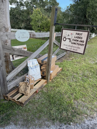 Illustration de l'article : Apr&egrave;s une livraison devant sa porte, une femme entend un miaulement venant d&rsquo;un de ses colis