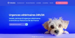 Illustration de l'article : Vetalia, le service d'urgences vétérinaires à domicile en Île-de-France disponible 24 heures sur 24 et 7 jours sur 7