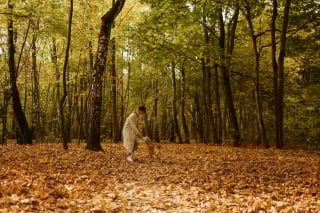 Illustration de l'article : 10 conseils de sécurité pour passer un automne en toute sécurité avec nos animaux de compagnie