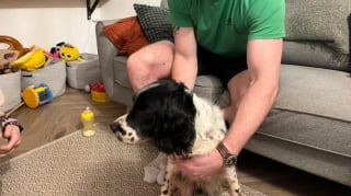 Illustration de l'article : Disparue depuis 2 mois, cette chienne en détresse se retrouve piégée dans des fils barbelés et interpelle un fermier qui vient la sauver