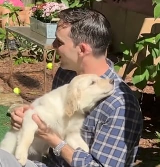 Illustration de l'article : « C’était l’une des pires situations qu’ils aient jamais vues », 26 chiots Golden Retriever enfin tirés d’un élevage sordide (vidéo)