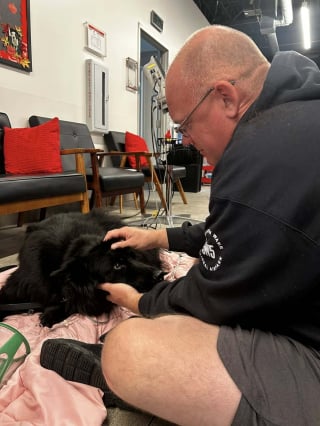 Illustration de l'article : Au service de la justice et des familles endeuillées, Orca une chienne policière s’en va trop tôt et laisse un vide immense