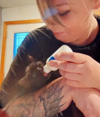 Illustration de l'article : Elle entend de drôles de bruits pendant sa pause déjeuner et découvre un chaton caché dans son moteur (vidéo)