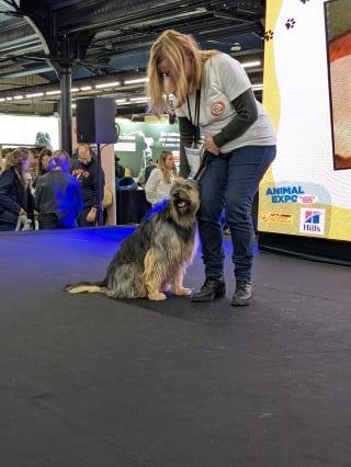 Illustration de l'article : À l'Animal Expo – Animalis Show, les animaux de refuge en attente d'adoptants responsables ont droit à leur coup de projecteur