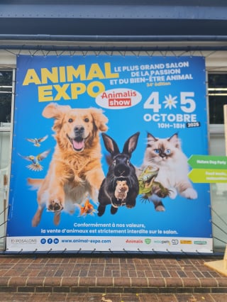 Illustration de l'article : À l'Animal Expo – Animalis Show, les animaux de refuge en attente d'adoptants responsables ont droit à leur coup de projecteur