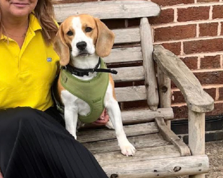 Illustration de l'article : Touchée par la complicité entre un patient et un chien d’assistance, cette employée d'hôpital se donne une nouvelle mission de vie