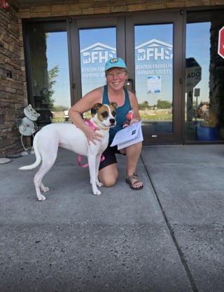 Illustration de l'article : Abandonnée en pleine nuit devant un refuge, cette chienne brisée ne savait pas que sa vie allait bientôt changer