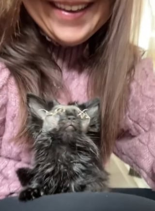 Illustration de l'article : Adoptée avec des points de suture à la place des yeux, cette chatte noire surprend tout le monde par sa capacité d'adaptation (vidéo)