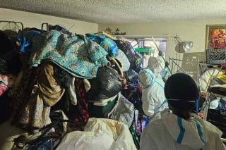 Illustration de l'article : Vivant dans des conditions catastrophiques, 11 chiens et 2 chats en étaient réduits à creuser des tunnels pour se déplacer dans cet appartement abandonné avant d'être sauvés (vidéo)