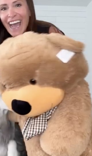 Illustration de l'article : Un Husky tout juste sorti d’une année difficile découvre avec joie son cadeau bien mérité (vidéo)