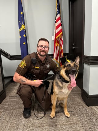 Illustration de l'article : Un chien autrefois errant et mal-en-point retrouve 2 enfants de 11 ans perdus dans la forêt 