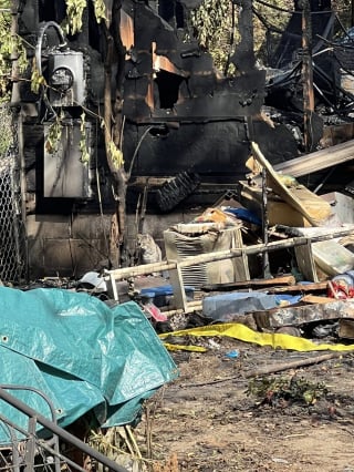 Illustration de l'article : Les retrouvailles de 6 nouveau-nés félins avec leur mère après un incendie dévastateur 