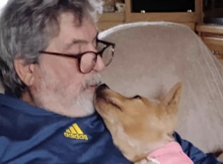 Illustration de l'article : Un vétérinaire promet de redonner vie à une chienne retrouvée amaigrie, épuisée et avec une patte cassée