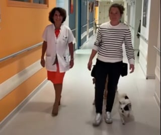 Illustration de l'article : Ces 2 chiens ont pour mission d'apporter réconfort et sourires aux malades en soins palliatifs