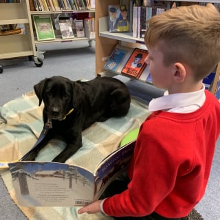 Illustration de l'article : Dans une bibliothèque, un Labrador noir accompagne les enfants pour qu’ils s’exercent à la lecture sans jugement