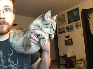 Illustration de l'article : Apr&egrave;s avoir v&eacute;cu dans la rue, ce chat devient le meilleur soutien de celui qui l&rsquo;a sauv&eacute;