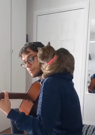 Illustration de l'article : Après 2 abandons, cette chatte ne cesse de câliner son nouveau propriétaire, qui ne la laissera pas tomber cette fois-ci (vidéo) 