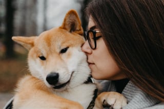 Illustration de l'article : 7 habitudes à prendre pour rendre son chien heureux