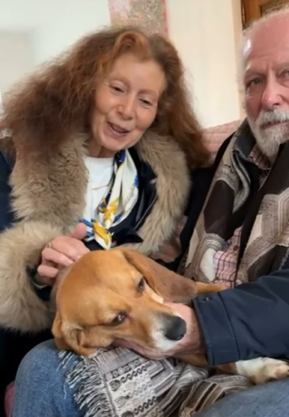 Illustration de l'article : Utilisée pendant 3 ans comme reproductrice dans un laboratoire, cette chienne découvre l'herbe pour la première fois et n'ose pas poser ses pattes dessus (vidéo)