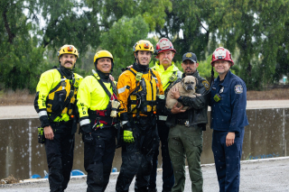 Illustration de l'article : Sauvé d'un canal en crue après de fortes pluies, ce petit chien attend désormais de rejoindre sa famille ou d'en trouver une nouvelle (vidéo)