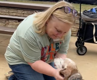 Illustration de l'article : Après des semaines de séparation, ce Beagle de sauvetage retrouve sa mère d’accueil et célèbre leurs retrouvailles avec énergie (vidéo)