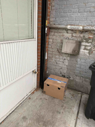 Illustration de l'article : En se rendant au travail, la responsable d’un refuge fait la déchirante découverte d’un chat abandonné dans un carton scellé (vidéo)