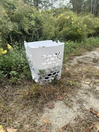 Illustration de l'article : Un panier à linge jeté au milieu de nulle part contenait en réalité 2 chats 