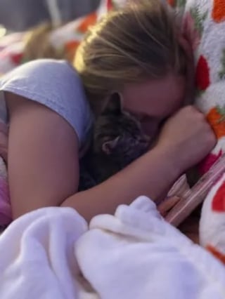 Illustration de l'article : Secouru à temps, un chaton tombé à l'eau depuis un pont s'en remet courageusement et trouve une famille aimante