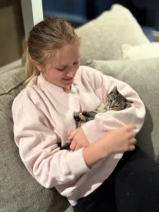 Illustration de l'article : Secouru à temps, un chaton tombé à l'eau depuis un pont s'en remet courageusement et trouve une famille aimante