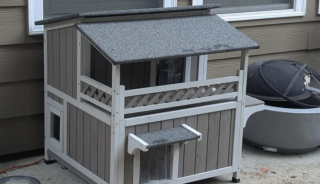 Illustration de l'article : Les habitants de ce quartier se sont réunis pour offrir une demeure de luxe à ce chat appréciant sa vie en extérieur