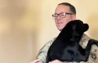 Illustration de l'article : Ce chien aveugle réserve un accueil d’une tendresse infinie à son papa tout juste rentré de mission (vidéo)