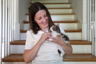 Illustration de l'article : Des avocats transforment leur pause déjeuner en mission sauvetage pour un chaton coincé sous une voiture