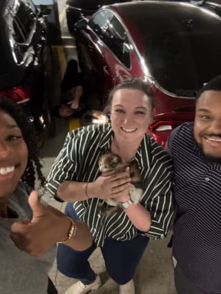 Illustration de l'article : Des avocats transforment leur pause déjeuner en mission sauvetage pour un chaton coincé sous une voiture