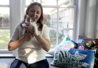 Illustration de l'article : Des avocats transforment leur pause déjeuner en mission sauvetage pour un chaton coincé sous une voiture