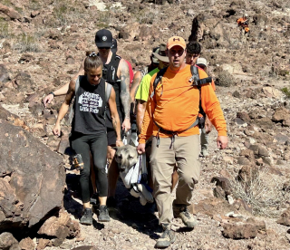 Illustration de l'article : En pleine course en montagne, des sportifs interrompent leur épreuve pour sauver un chien à bout de forces