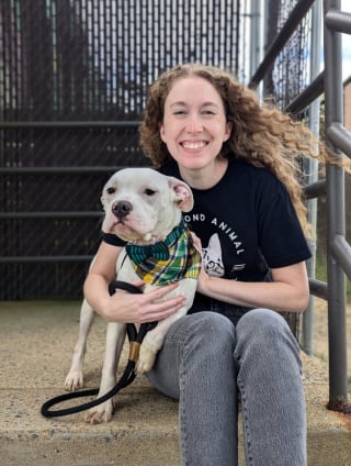 Illustration de l'article : Après avoir vaincu la parvovirose et la maladie de Carré, ce jeune chien attend enfin une famille aimante