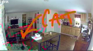 Illustration de l'article : Ce qu'elle découvre au sujet de son chat via sa nouvelle caméra de surveillance lui brise le coeur et la pousse à en adopter un 2e (vidéo)